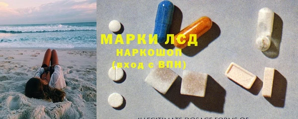 шишки Алексин