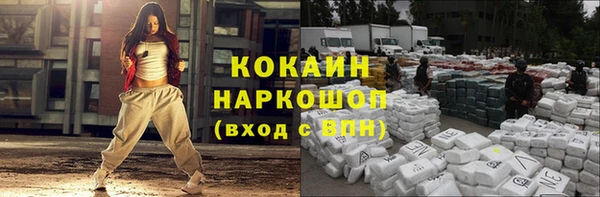 шишки Алексин