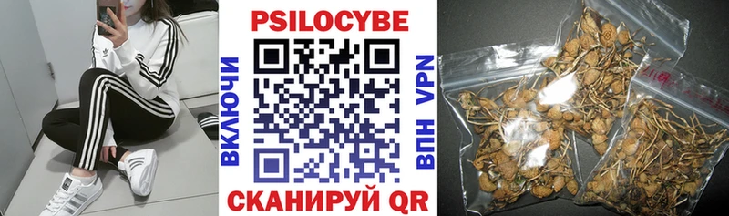 дарнет шоп  Слободской  Псилоцибиновые грибы мухоморы 