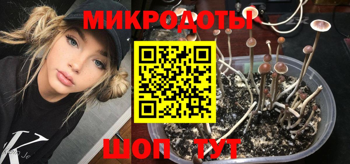 Галлюциногенные грибы Cubensis  Псилоцибиновые грибы прущие грибы  Вход с VPN  Слободской 