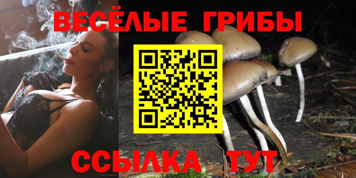 Галлюциногенные грибы Magic Shrooms Слободской